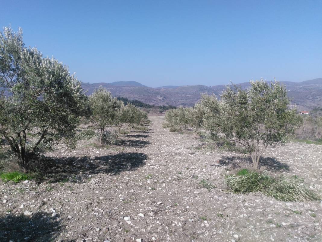 Soma Büyükışıklar Köyü Resimleri 7