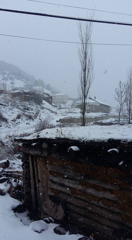 Şenkaya Doğanköy Köyü Resimleri 1