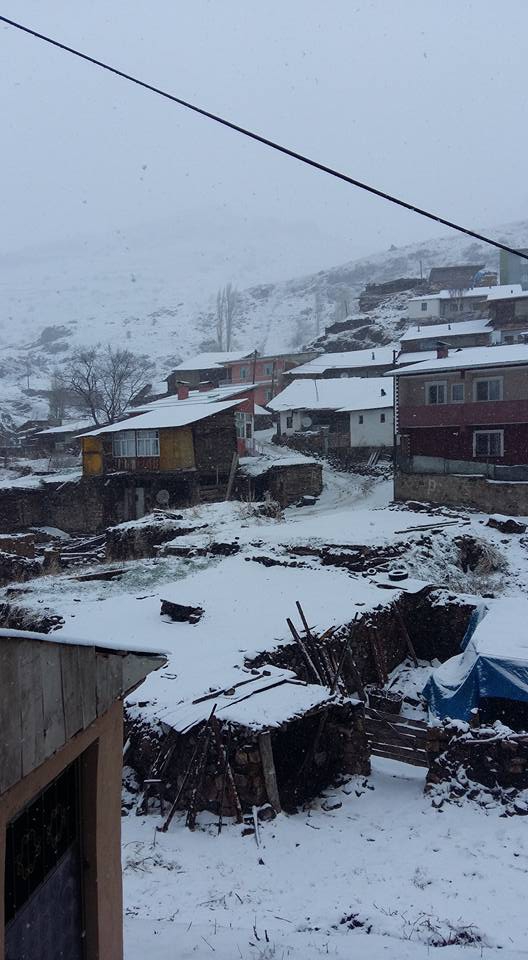 Şenkaya Doğanköy Köyü Resimleri 2