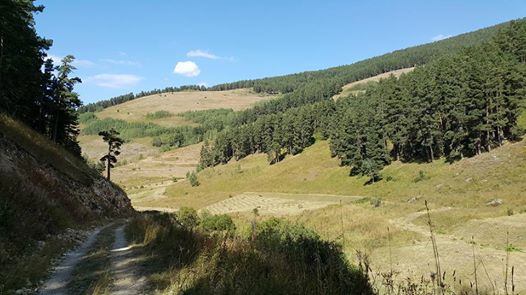 Şenkaya Doğanköy Köyü Resimleri 3