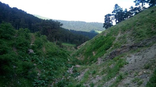 Şenkaya Doğanköy Köyü Resimleri 4