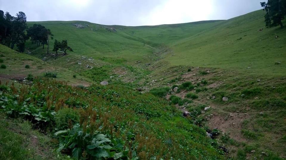 Şenkaya Doğanköy Köyü Resimleri 6