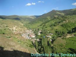 Şenkaya Doğanköy Köyü Resimleri 9