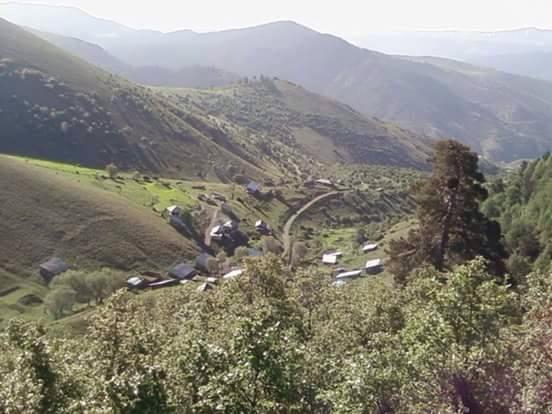 Şenkaya Dokuzelma Köyü Resimleri 4