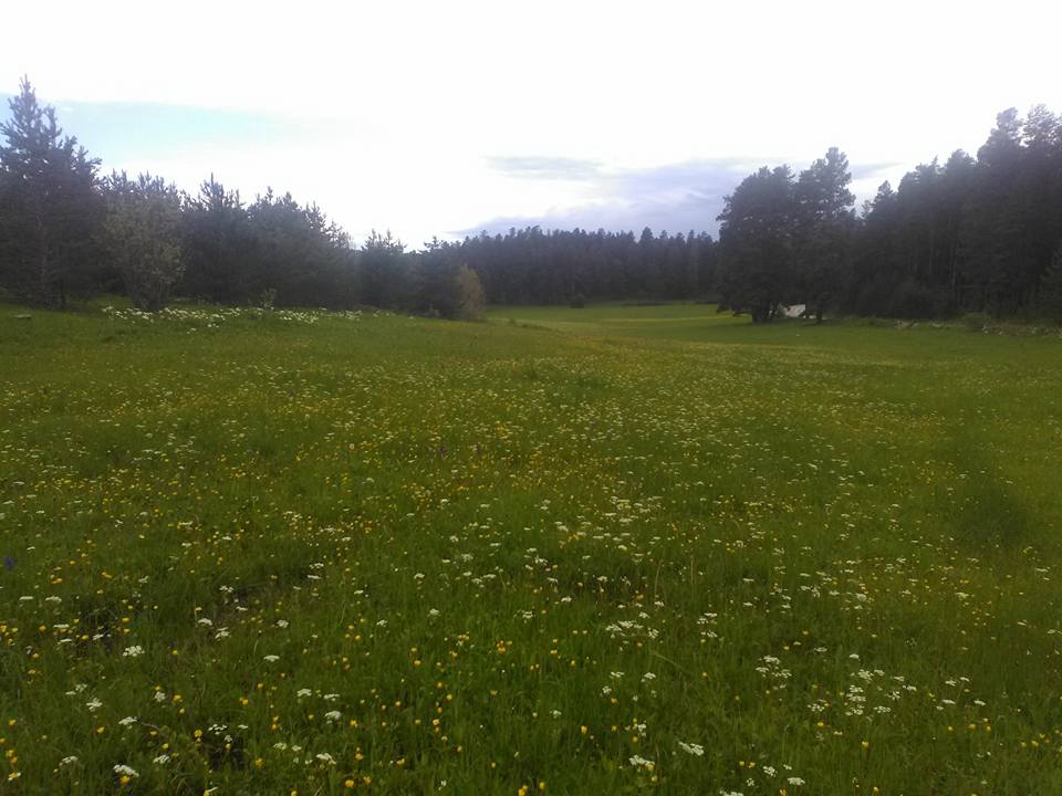 Şenkaya Dolunay Köyü Resimleri 2