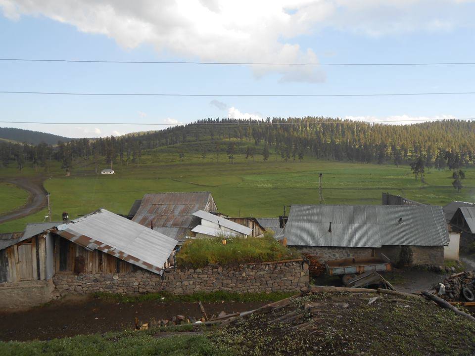 Şenkaya Dolunay Köyü Resimleri 7