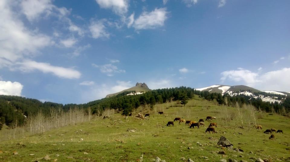 Şenkaya Dörtyol Köyü Resimleri 3