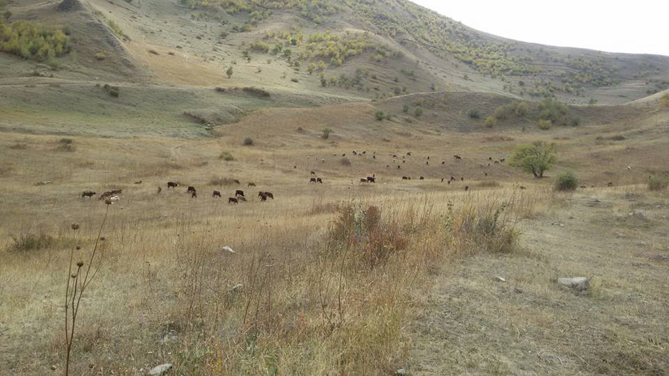 Şenkaya Dörtyol Köyü Resimleri 4