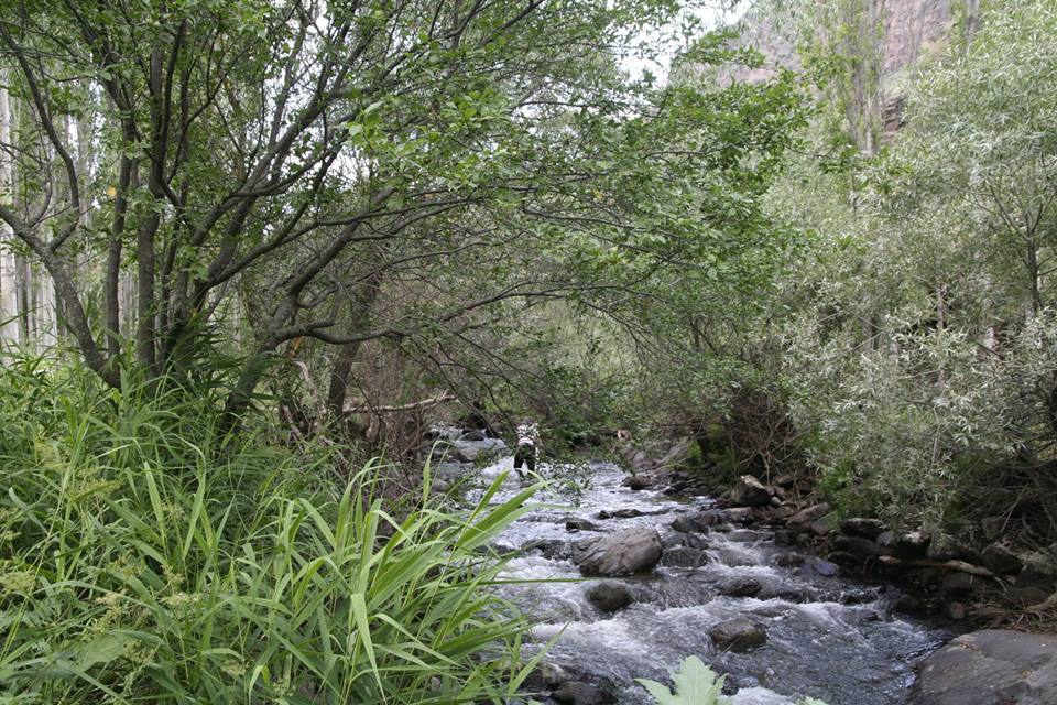 Şenkaya Esence Köyü Resimleri 2