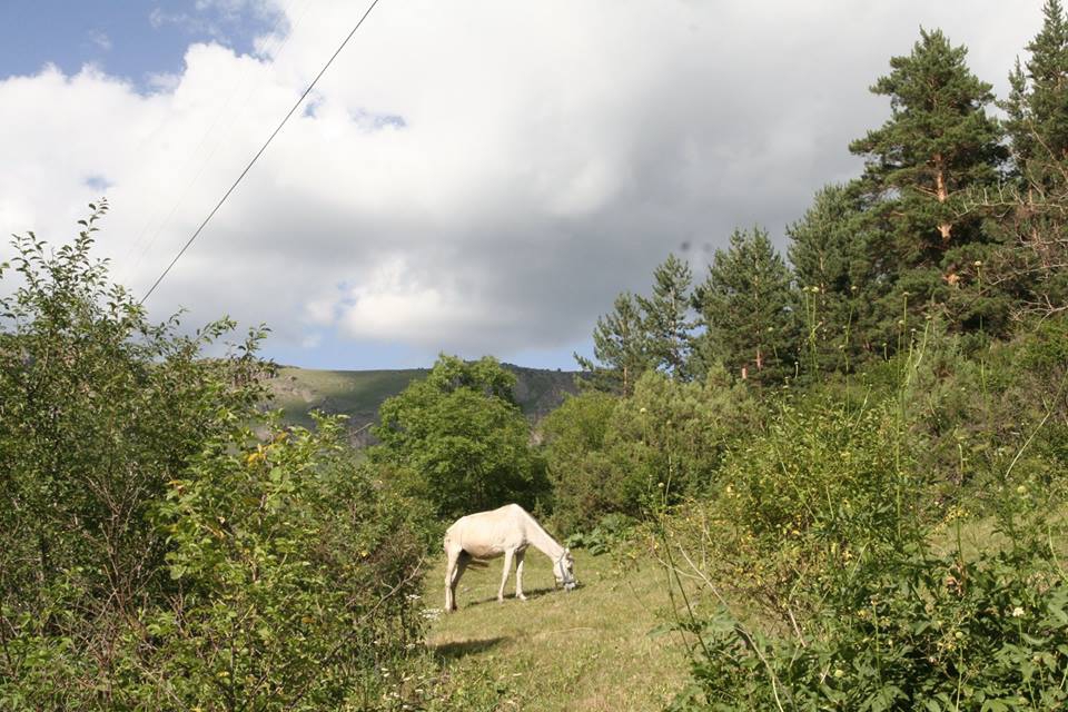 Şenkaya Esence Köyü Resimleri 3