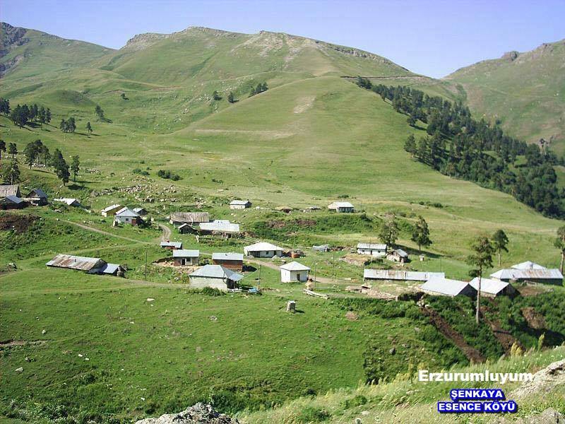 Şenkaya Esence Köyü Resimleri 5