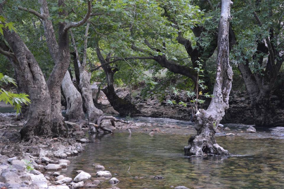 Antalya Akseki Menteşbey Köyü Resimleri 12