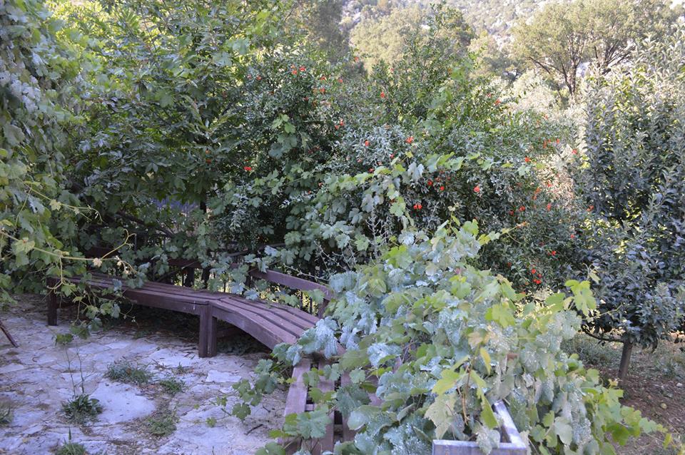 Antalya Akseki Menteşbey Köyü Resimleri 18