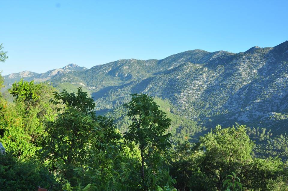 Antalya Akseki Menteşbey Köyü Resimleri 9