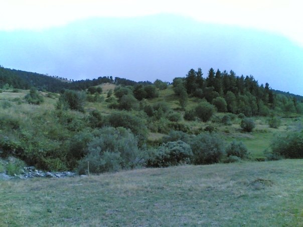 Şenkaya Gözebaşı Köyü Resimleri 10