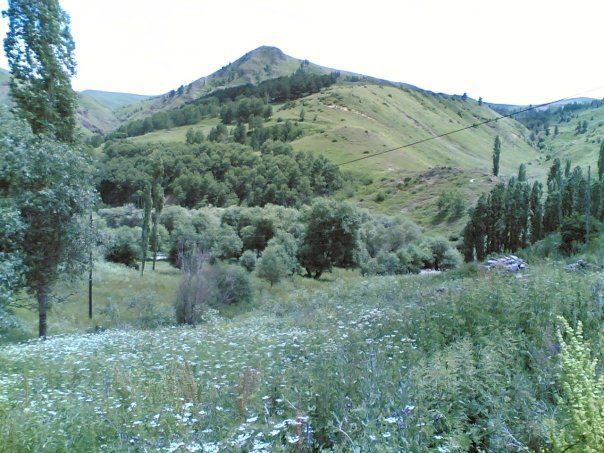 Şenkaya Gözebaşı Köyü Resimleri 8