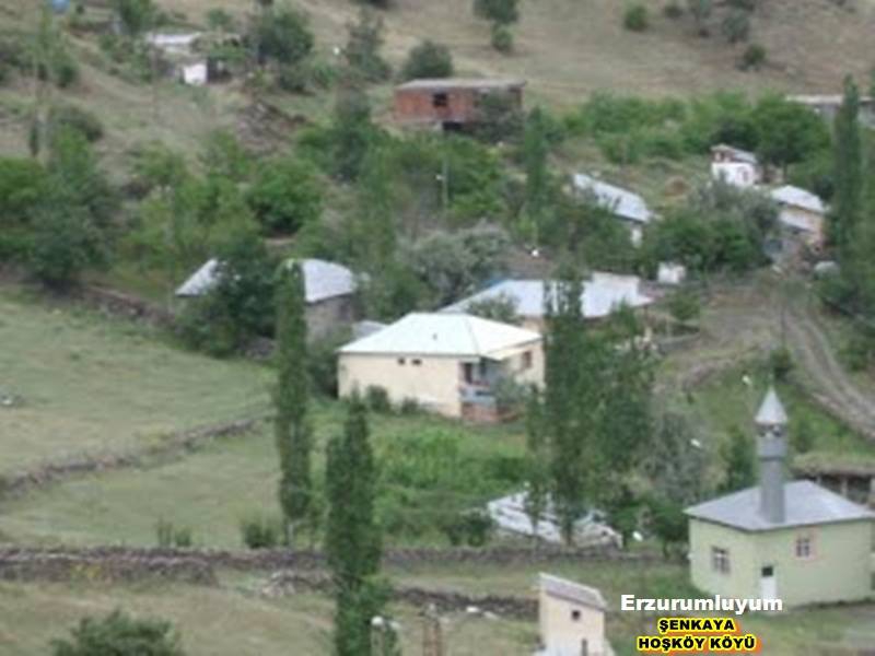 Şenkaya Hoşköy Köyü Resimleri 2