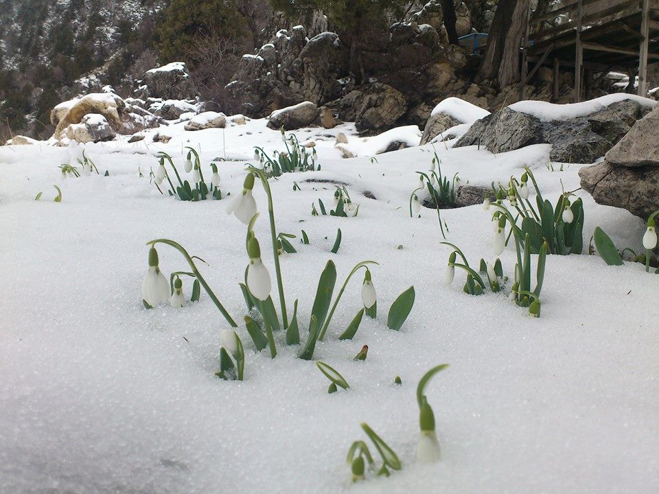 Antalya Akseki Sadıklar Köyü Resimleri 4