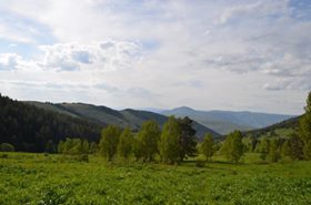Şenkaya Ormanlı Köyü Resimleri 10