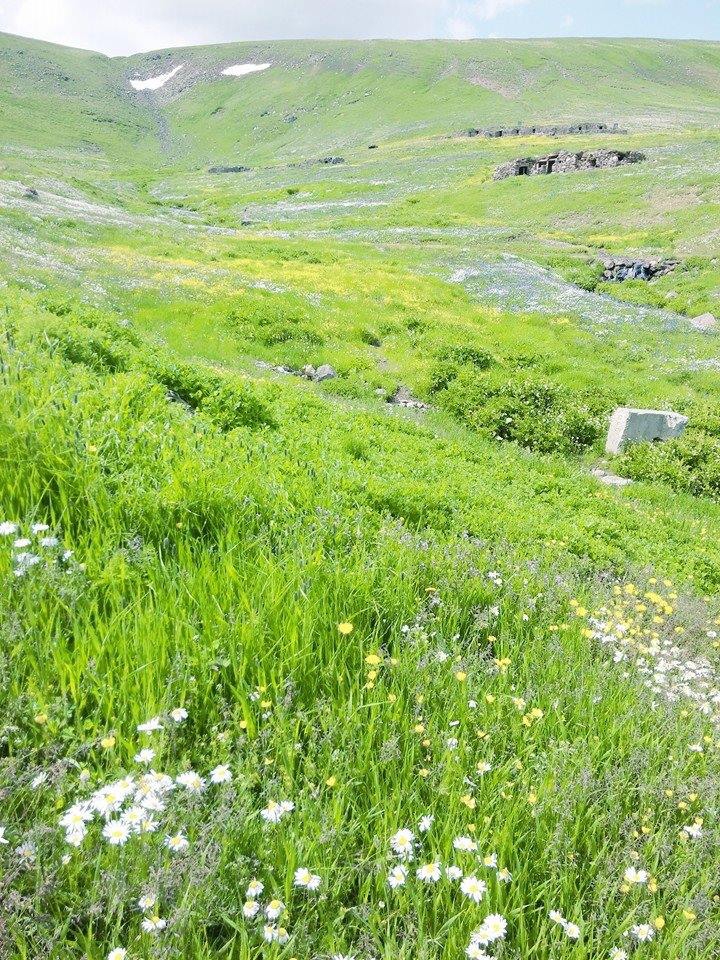 Şenkaya Ormanlı Köyü Resimleri 3