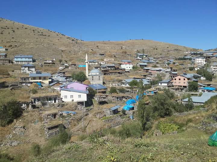 Şenkaya Ormanlı Köyü Resimleri 4