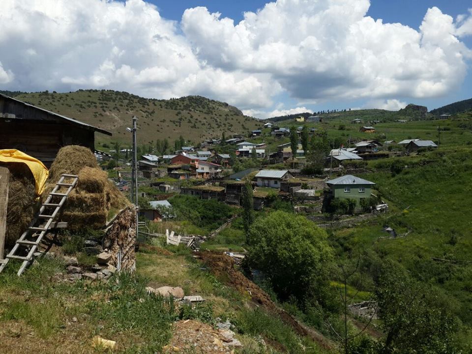 Şenkaya Ormanlı Köyü Resimleri 5