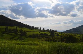 Şenkaya Ormanlı Köyü Resimleri 6