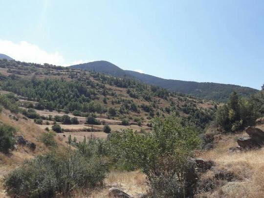 Şenkaya Ormanlı Köyü Resimleri 7