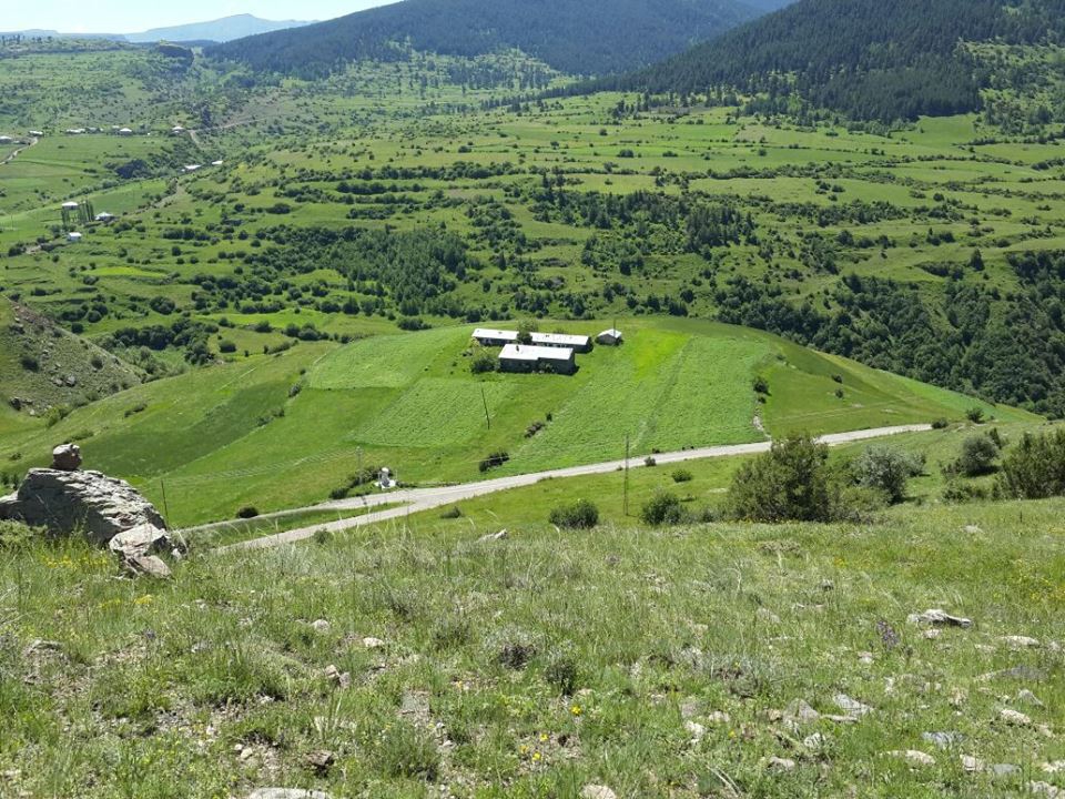 Şenkaya Ormanlı Köyü Resimleri 8