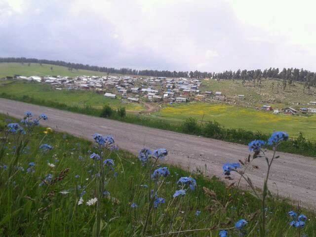 Şenkaya Özyurt Köyü Resimleri 4