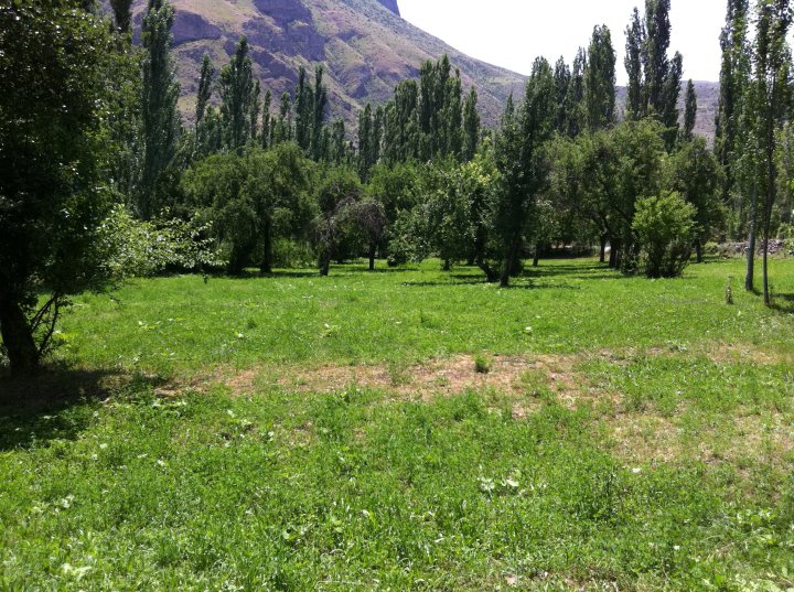 Şenkaya Penek Köyü Resimleri 3