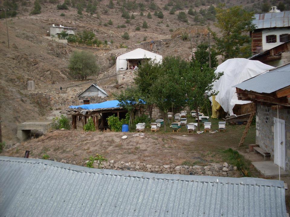 Şenkaya Sarıkayalar Köyü Resimleri 10