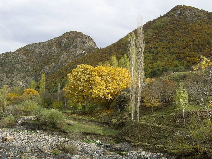 Şenkaya Sarıkayalar Köyü Resimleri 8