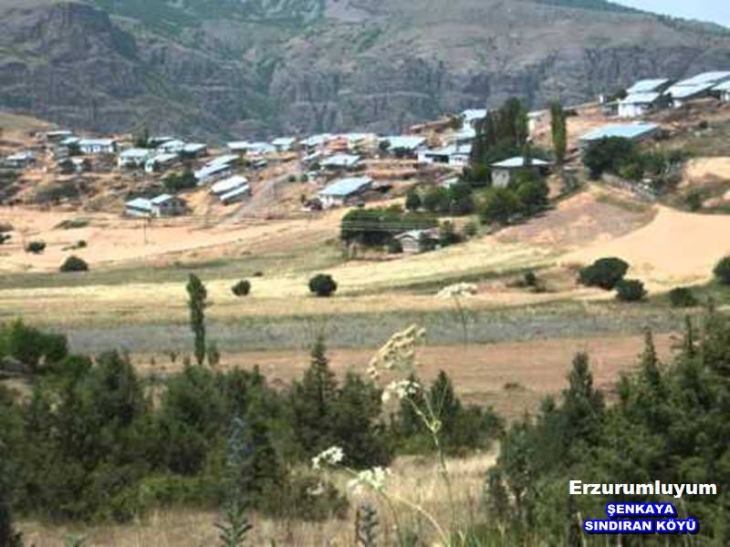 Şenkaya Sındıran Köyü Resimleri 6