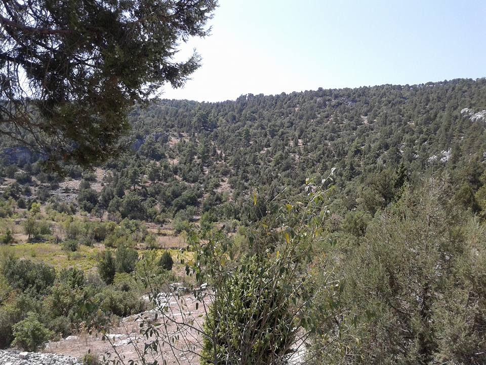 Antalya Akseki Sarıhaliller Köyü Resimleri 2