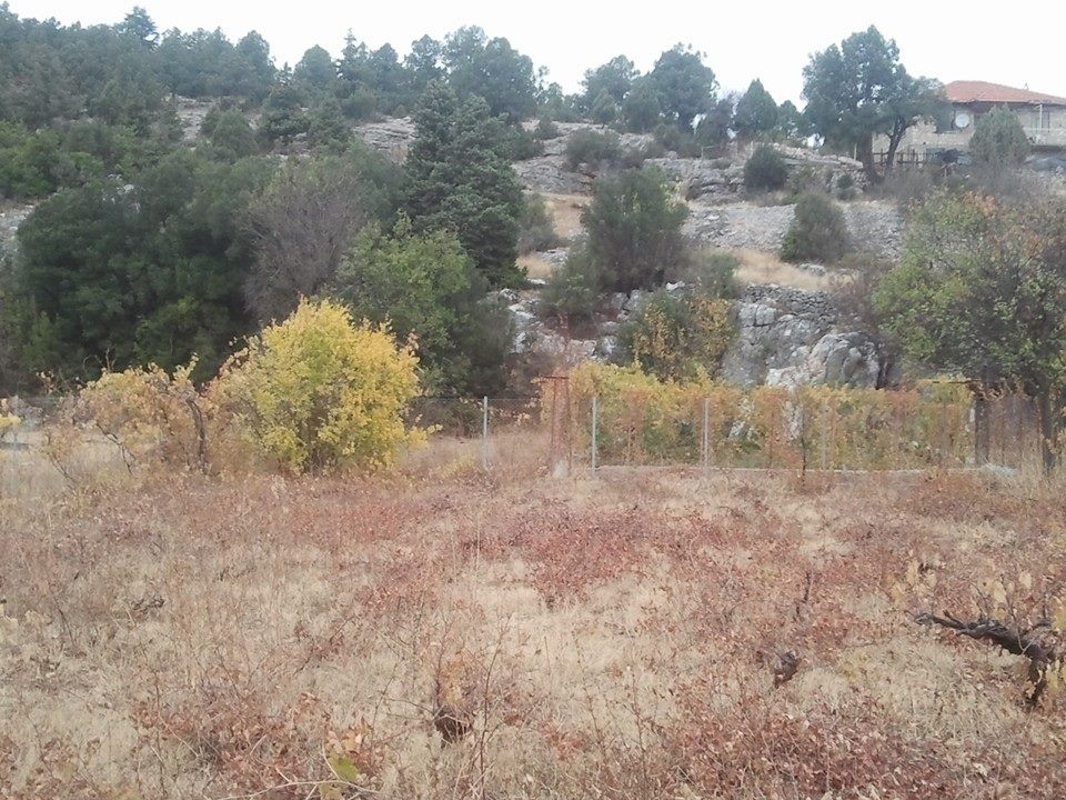 Antalya Akseki Sarıhaliller Köyü Resimleri 20