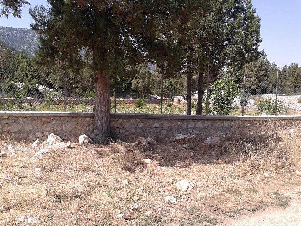 Antalya Akseki Sarıhaliller Köyü Resimleri 3