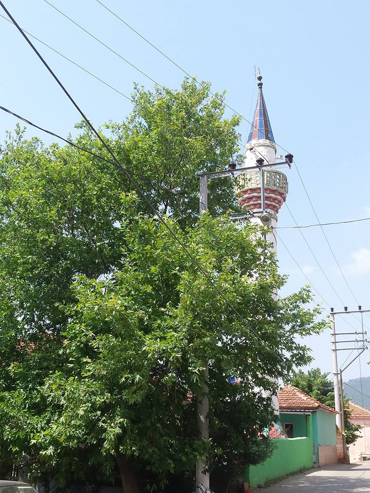 Gerede Balcılar Köyü Resimleri 3