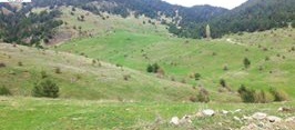 Gerede Beşkonak Köyü Resimleri 6