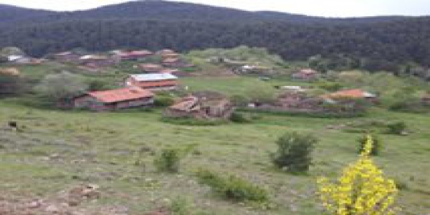 Gerede Beşkonak Köyü Resimleri