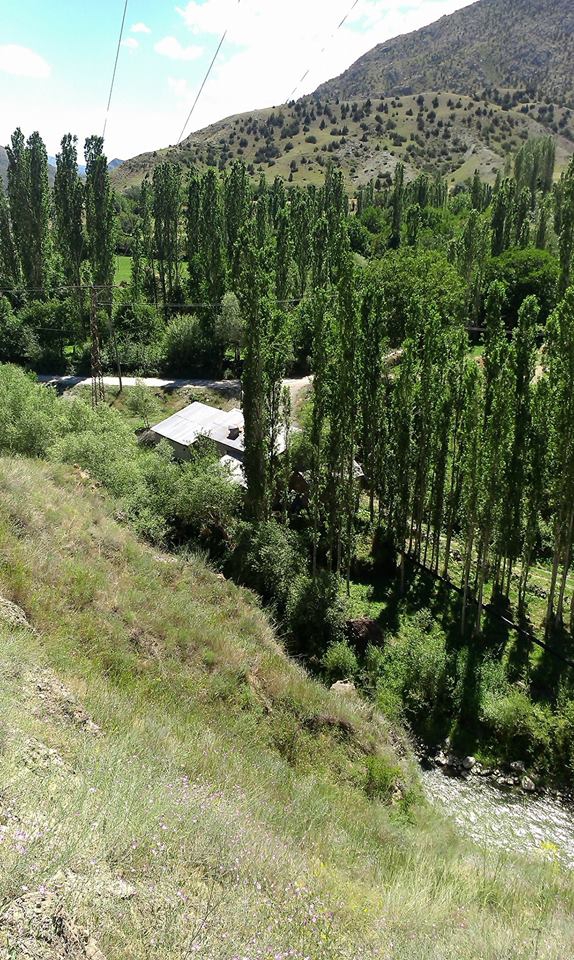 Şenkaya Timurkışla Köyü Resimleri 3