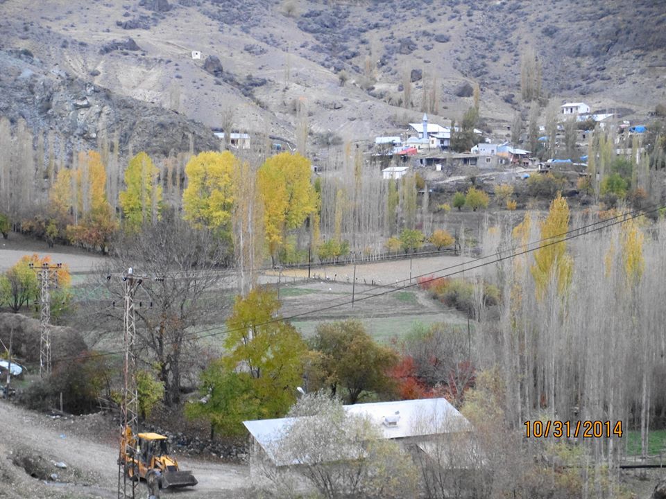 Şenkaya Timurkışla Köyü Resimleri 5