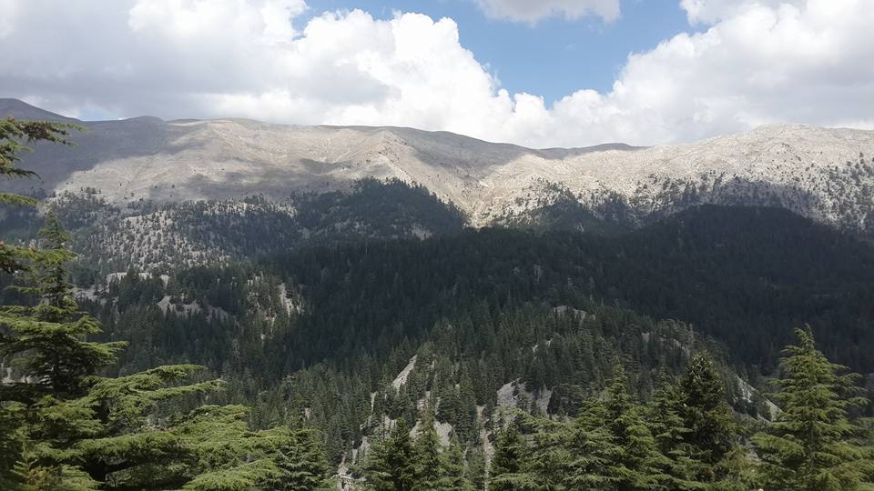 Antalya Alanya Akçatı Köyü Resimleri 13