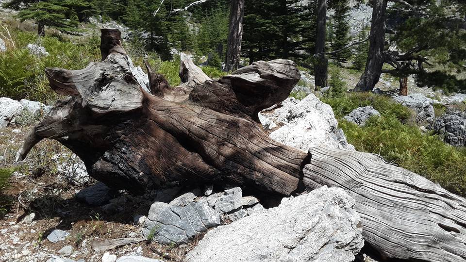 Antalya Alanya Akçatı Köyü Resimleri 18