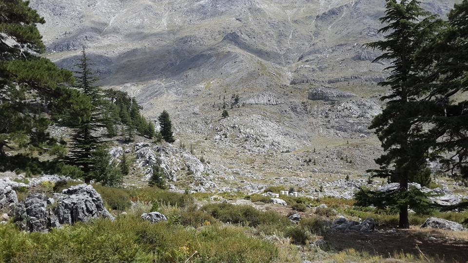 Antalya Alanya Akçatı Köyü Resimleri 19