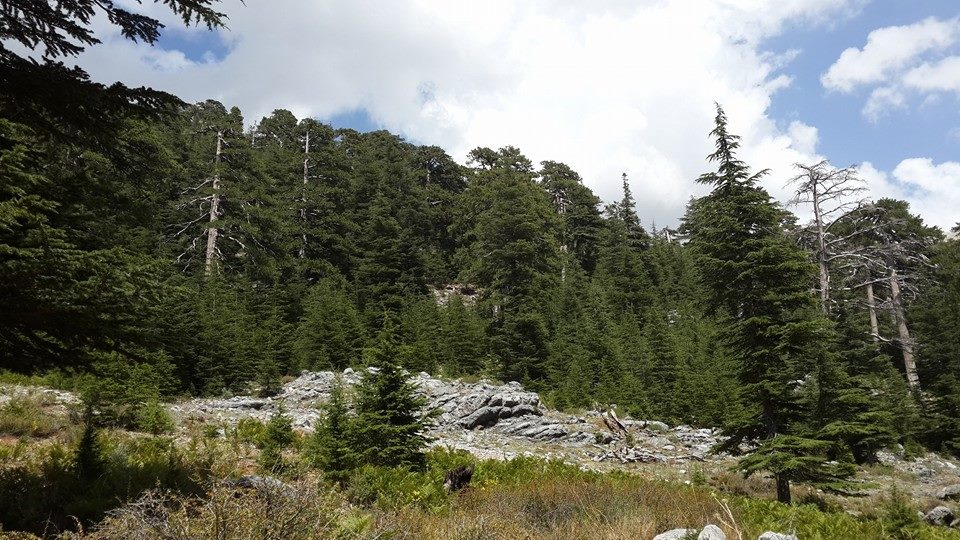 Antalya Alanya Akçatı Köyü Resimleri 20