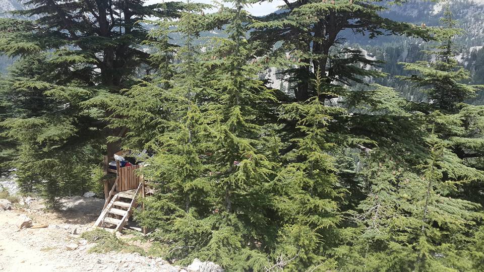 Antalya Alanya Akçatı Köyü Resimleri 25