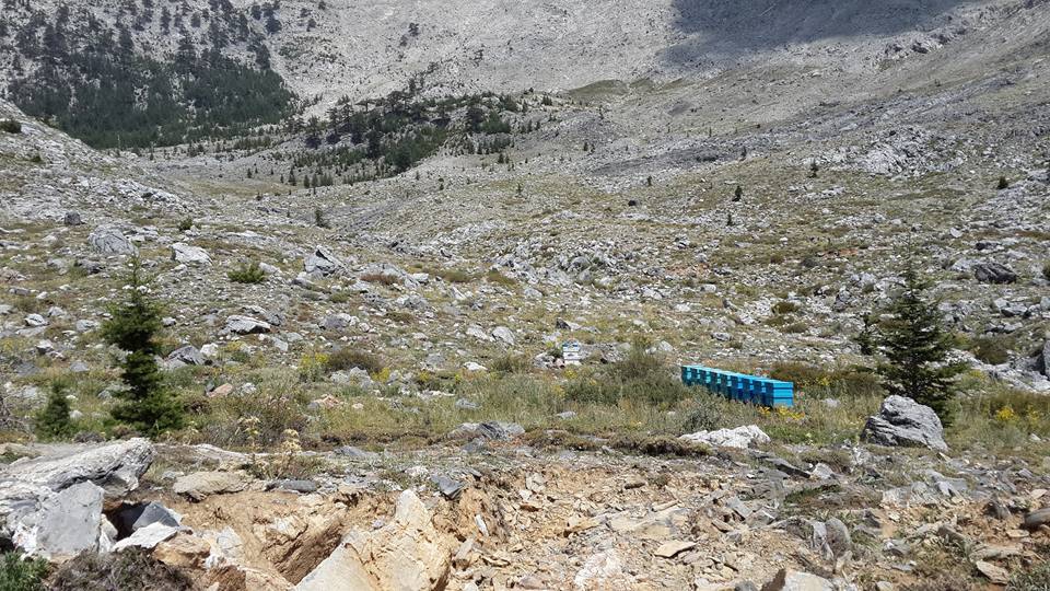 Antalya Alanya Akçatı Köyü Resimleri 26