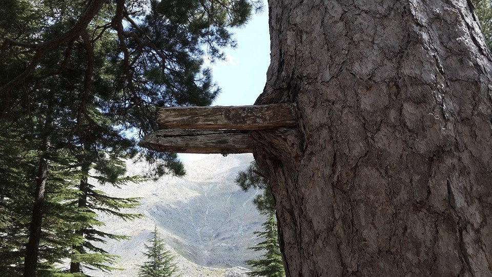 Antalya Alanya Akçatı Köyü Resimleri 28