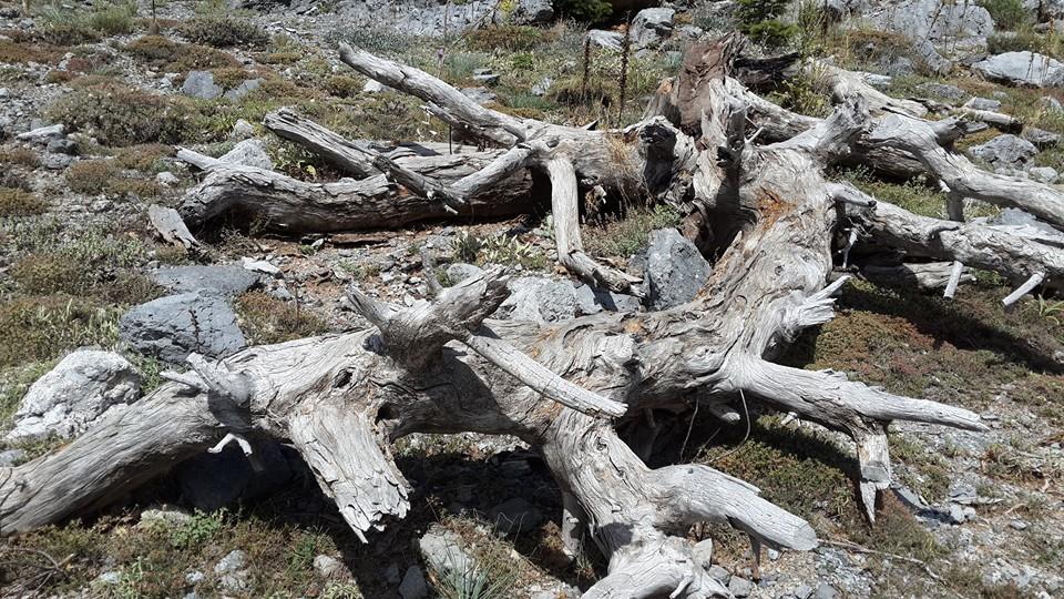 Antalya Alanya Akçatı Köyü Resimleri 29